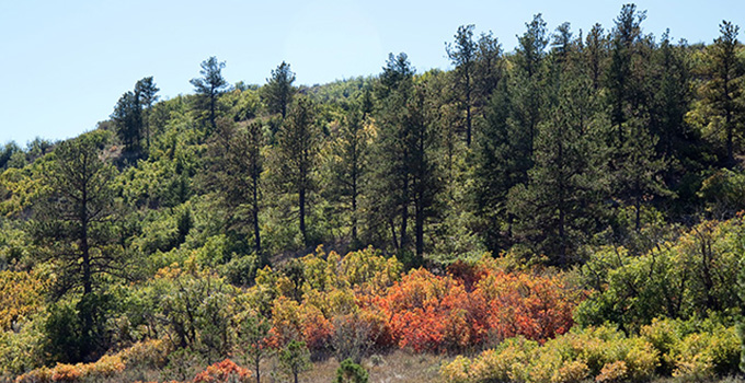 USAFA unique landscape